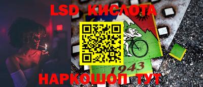 тгк Бийск