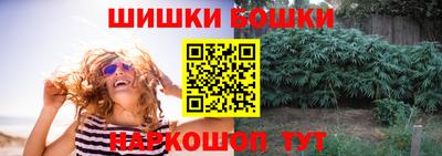 тгк Бийск