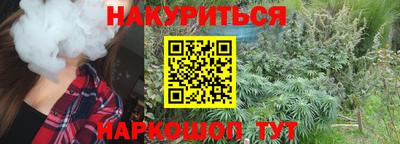 тгк Бийск