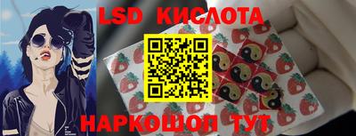 тгк Бийск