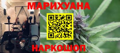 тгк Бийск