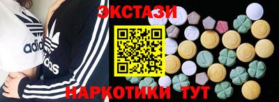 тгк Бийск