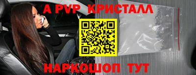 тгк Бийск