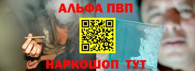 тгк Бийск