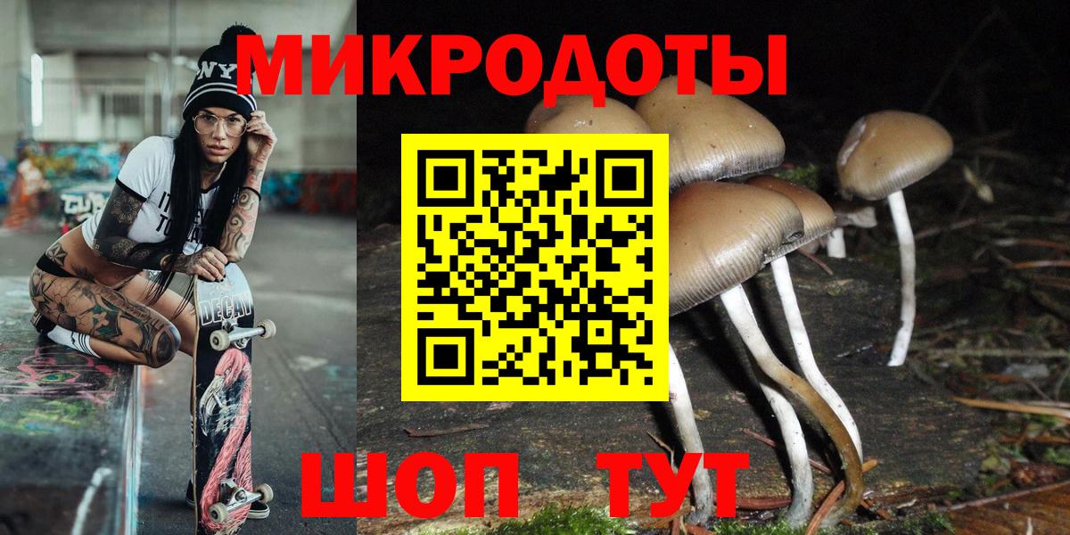 Галлюциногенные грибы Psilocybine cubensis Иваново